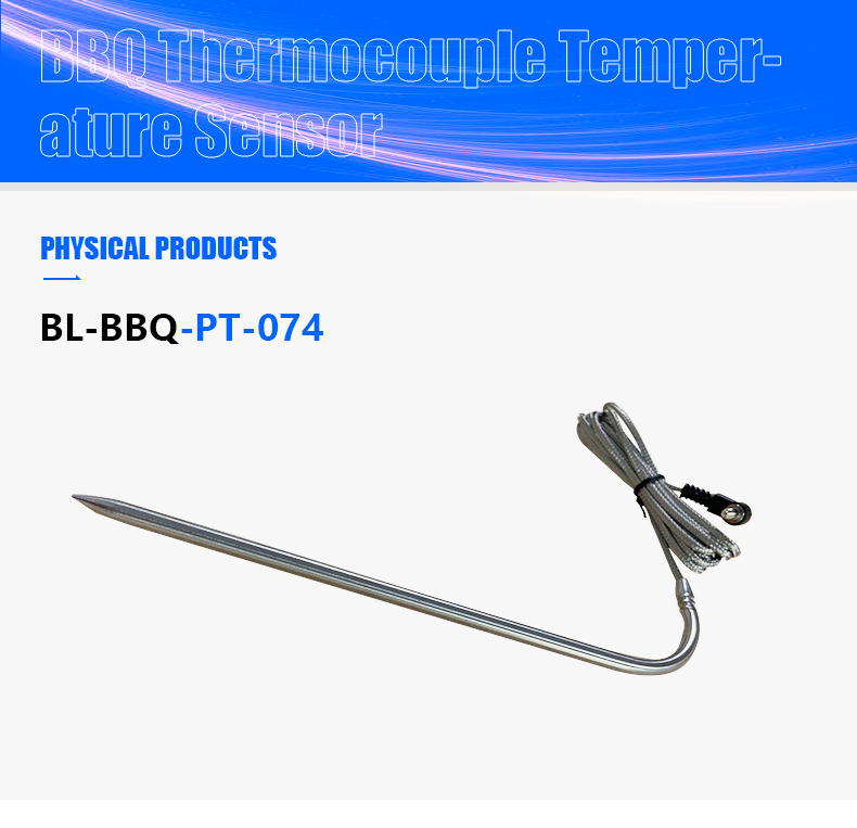 PT1000 Meat Probe Platinum Temperature Sensor with 3.5mm Jack Plug - China  Food Meat Probe, PT1000 Meat Probe