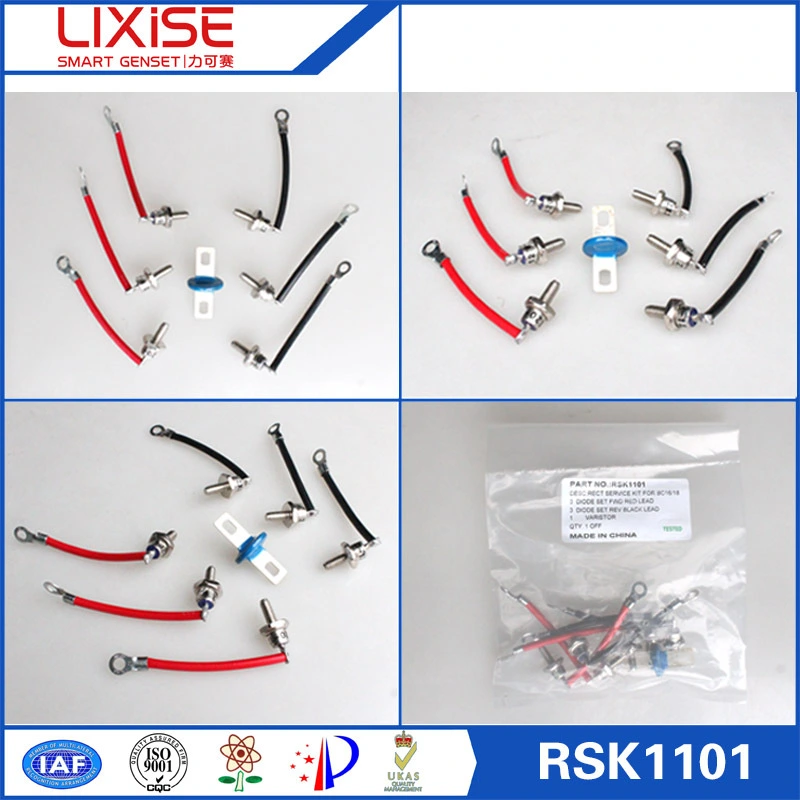 RSK1101 Power Diode for Alternator General Rectifier Diode