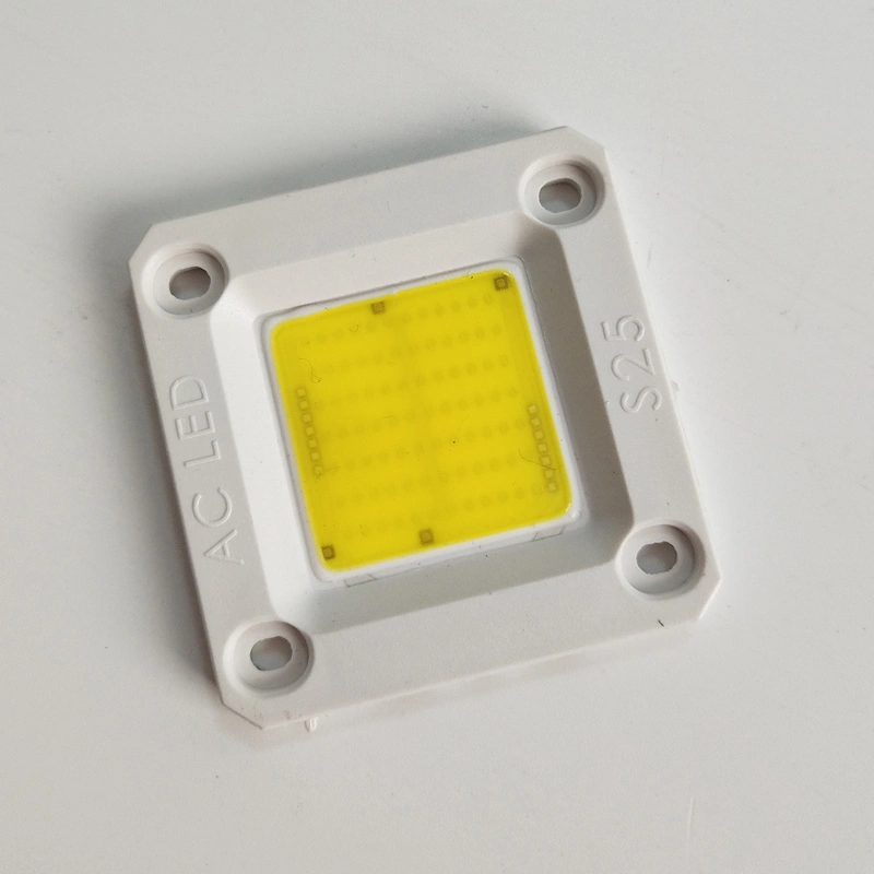 White Driverless 20w 30w 50w LED Module AC COB 110v 220v cob led chip for Downlights