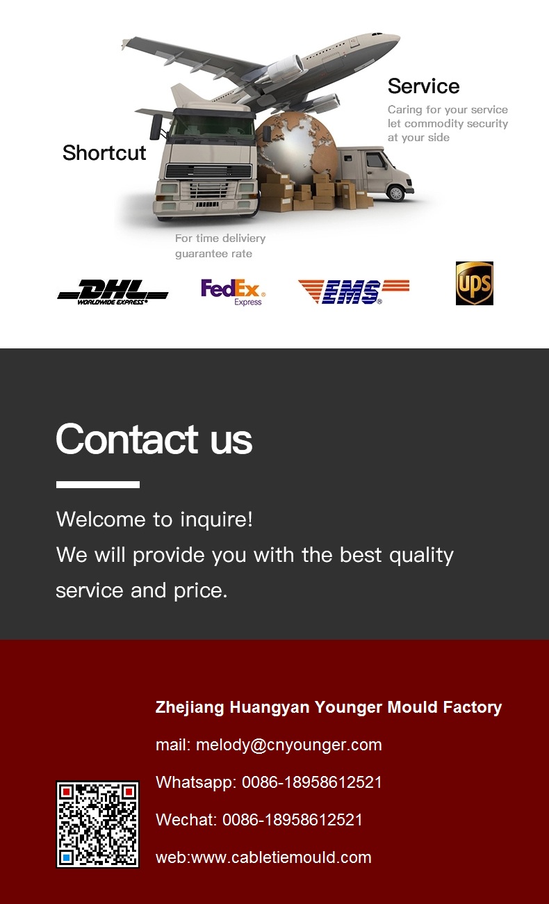 Cable Tie Mould Factory