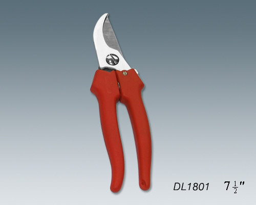 DL1801.jpg