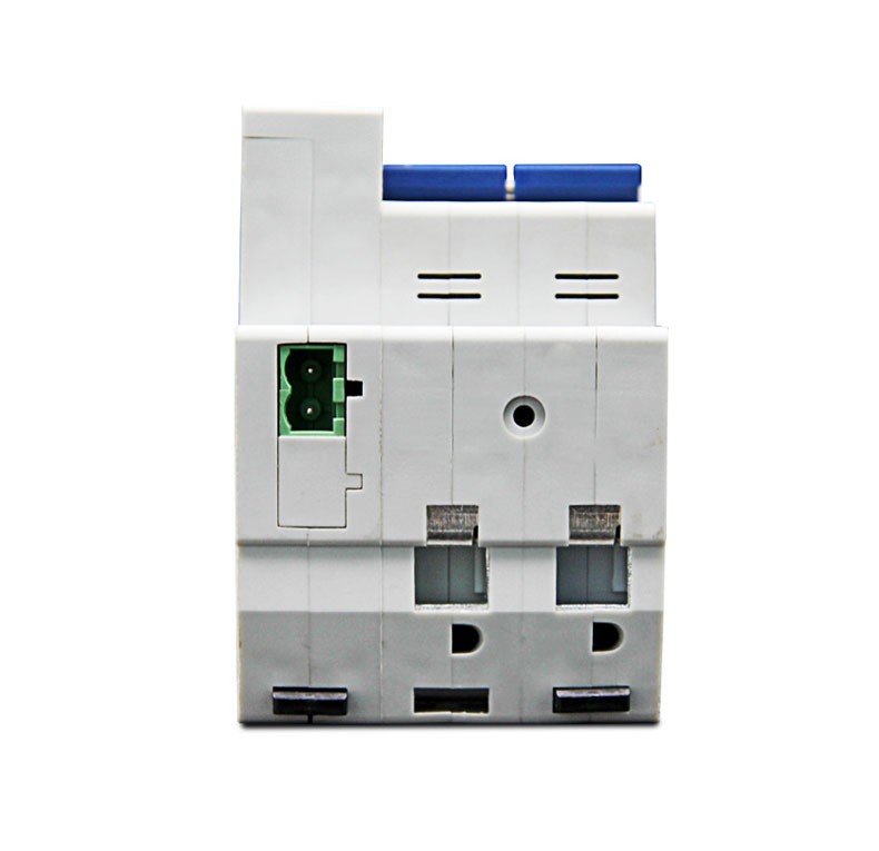 shBG-80_05.jpg