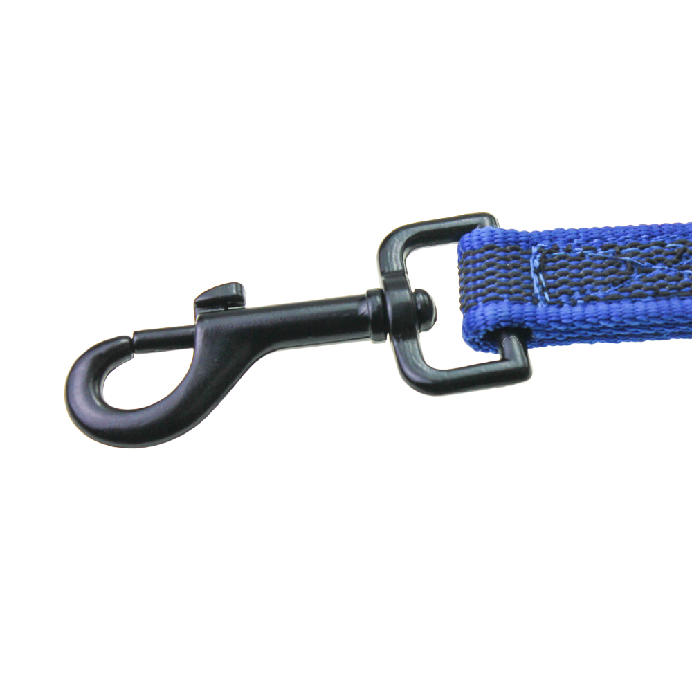 pet leash buckle.jpg