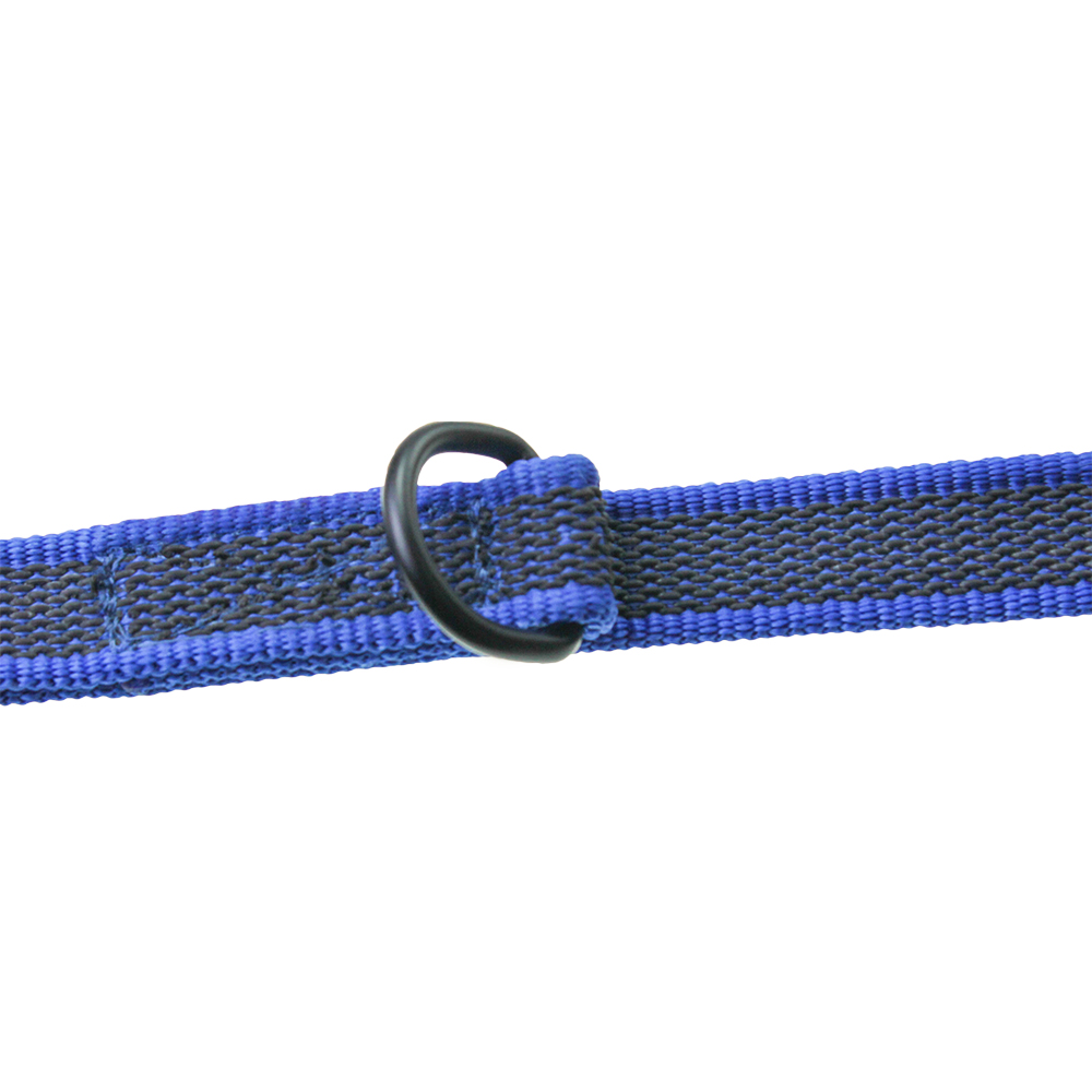 pet training leash.jpg