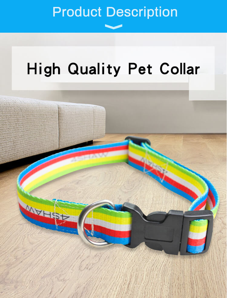 Dog collar (1).jpg