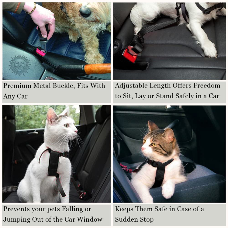 dog car seat belt.jpg (7).jpg