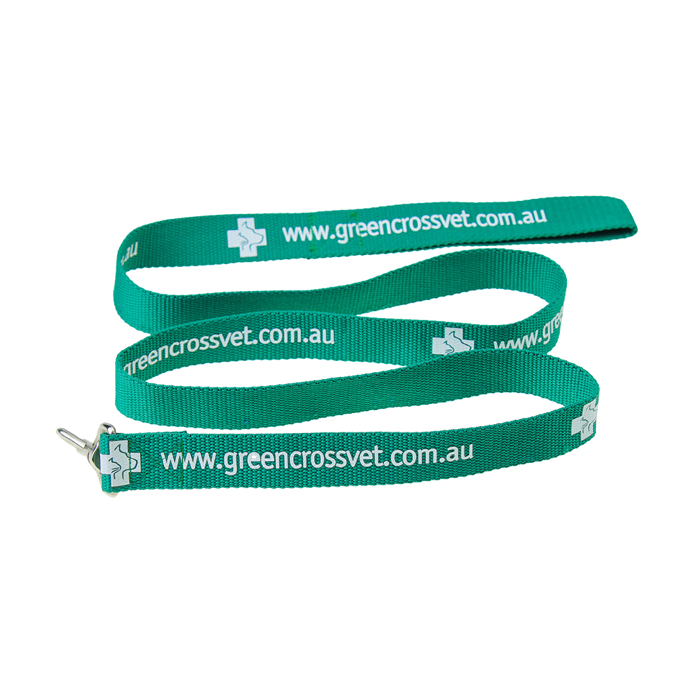 dog leash collar.jpg