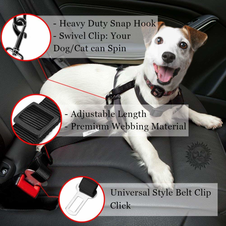 dog car seat belt.jpg (6).jpg