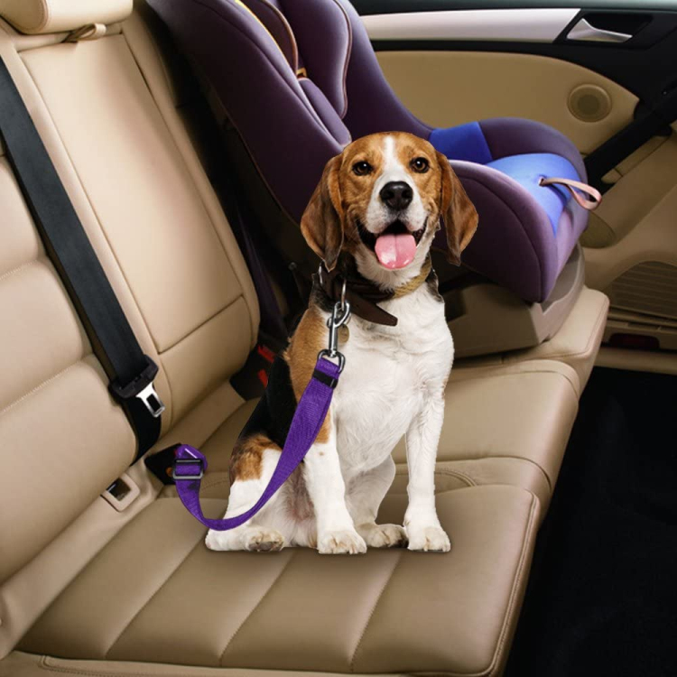 dog car seat belt.jpg (5).jpg