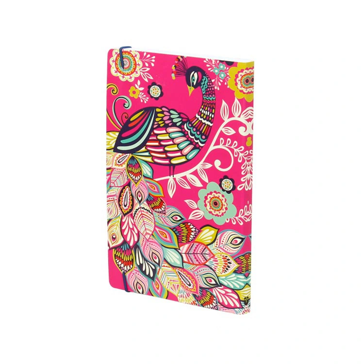 Color Cover School Exercise books Notebook Printing
