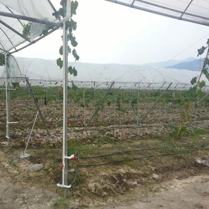 irrigation system drip pipe