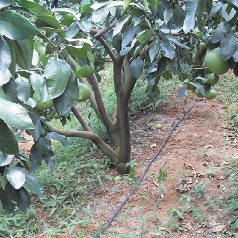 drip pipe irrigation
