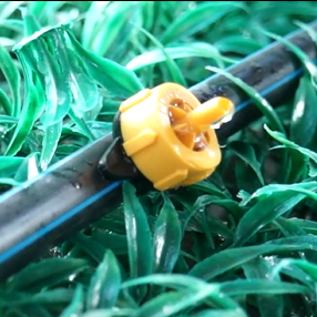 drip irrigation system for greenhouse farming