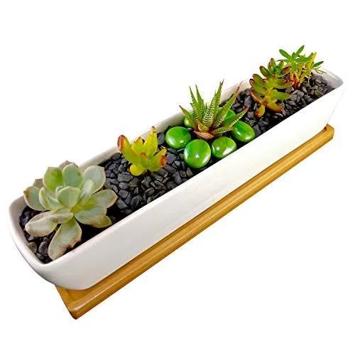 Plant Pot with Rectangle Bamboo Tray for Succulent Planter