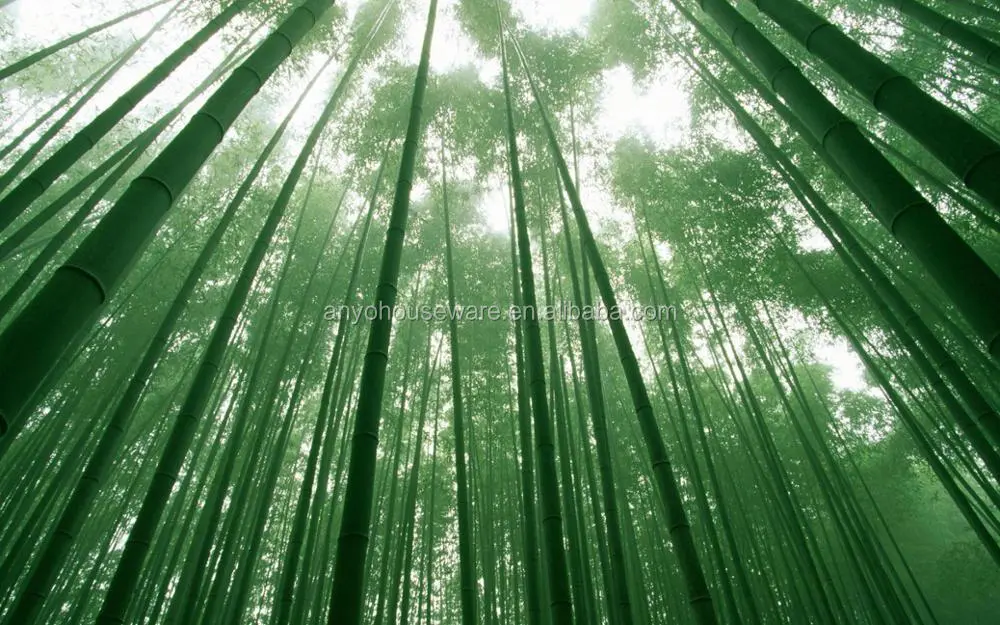 Eco-friendly 100% Natural Bamboo Kitchen Utensils Set of 6