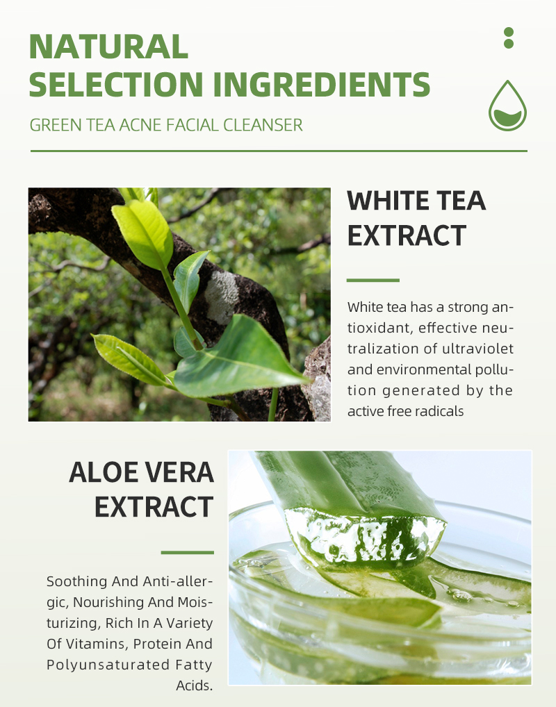 custom face cleanser,private label face cleanser,wholesale face cleanser,face cleanser manufacturer,wholesale green tea facial cleanser