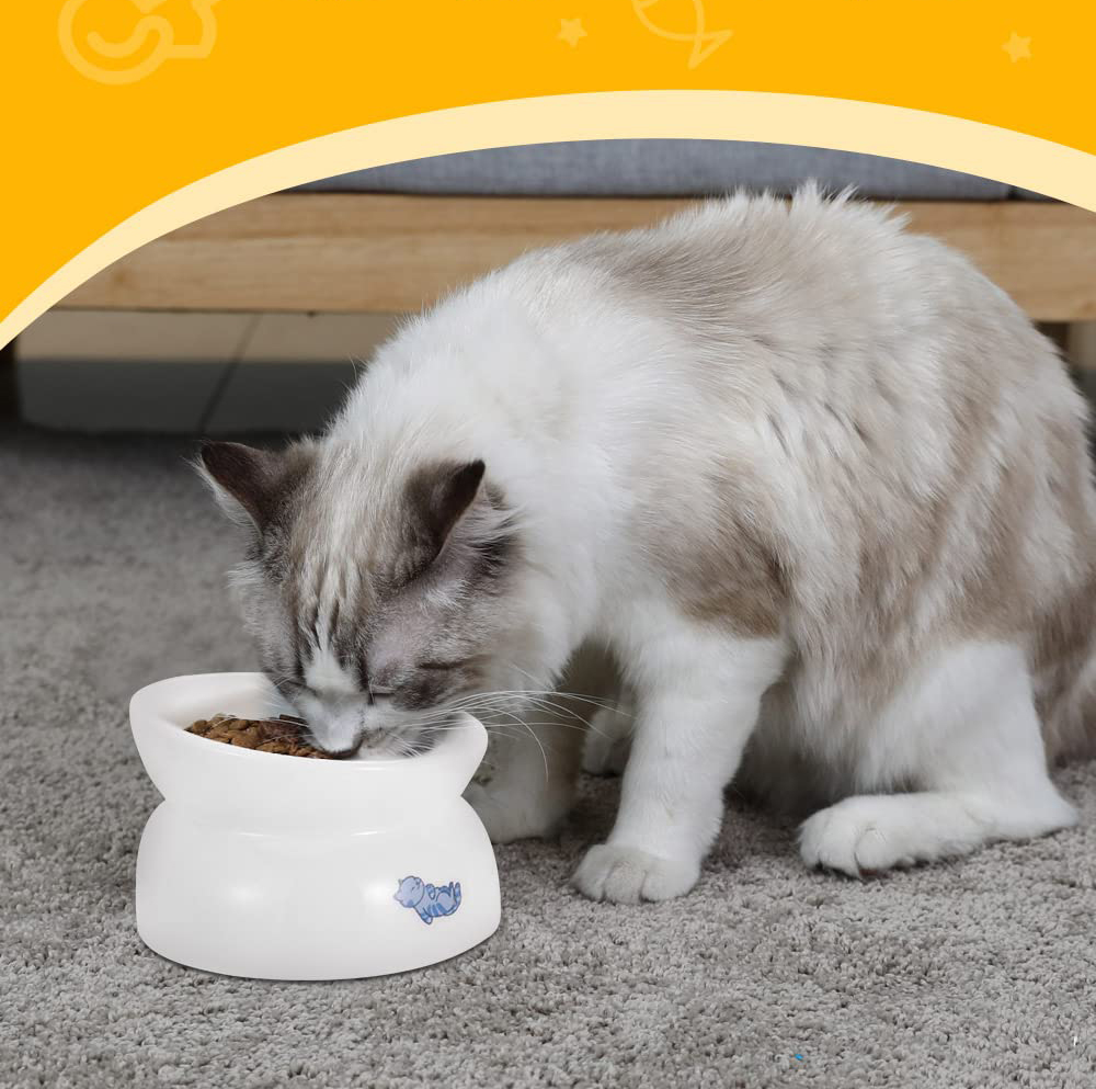 Spine Stress Free cat feeder manufacturer
