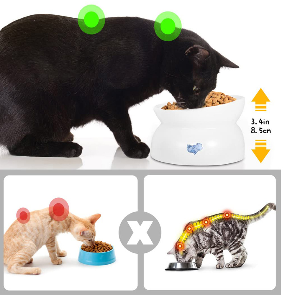 Spine Stress Free cat feeder manufacturer