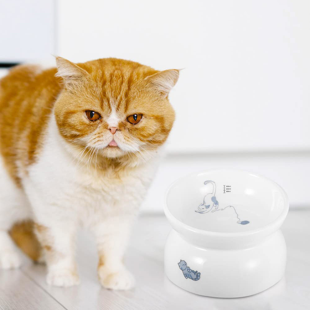 Spine Stress Free cat feeder manufacturer