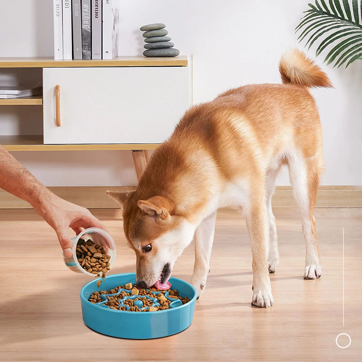 Dog Ceramic Feeder slow eating bowl manufacturer