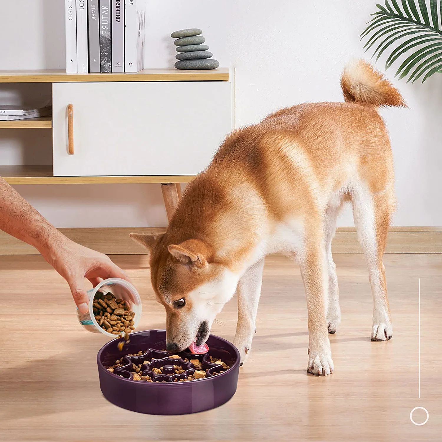 Multi Groove ceramic dog feeder manufacturer