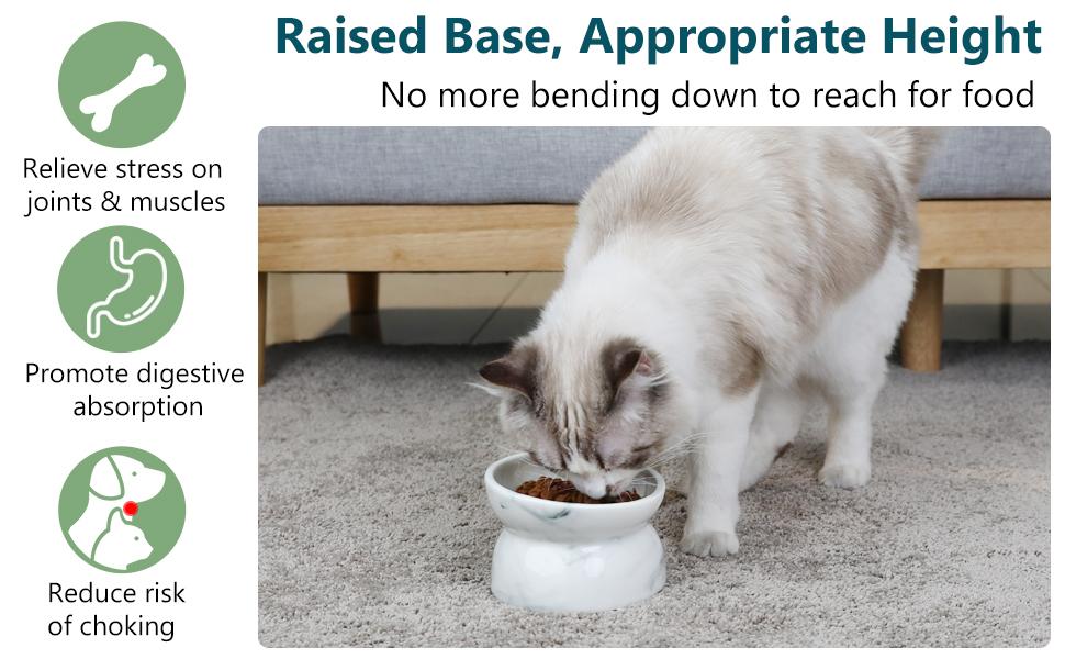 elevated ceramic cat bowl manufacturer