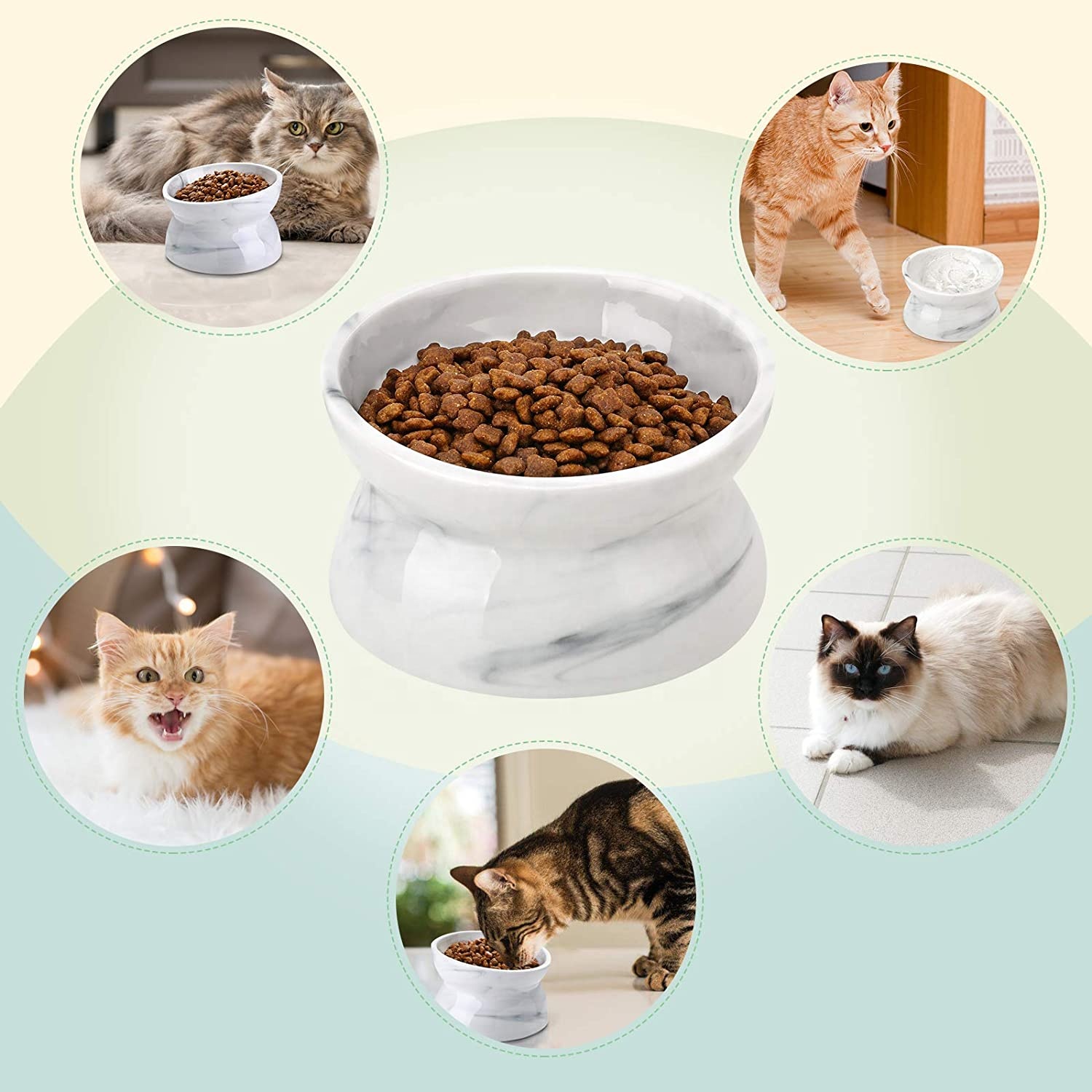 elevated ceramic cat bowl manufacturer