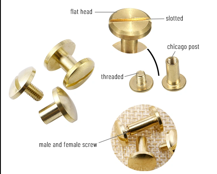 China suppliers custom m3 sex bolt chicago screw male female chicago screw brass book binding post chicago screws