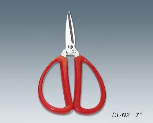 DL-N2