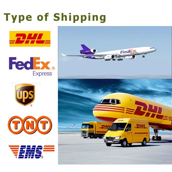 Shipping