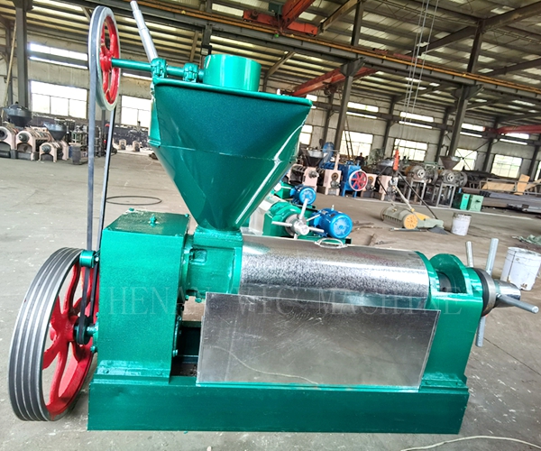 6YL-130.jpg